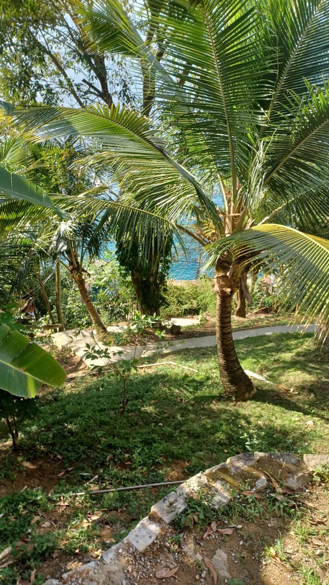 Saracura Ξενοδοχείο Praia de Araçatiba Εξωτερικό φωτογραφία